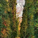 Βίλα Little Village Trikala Lazarina
