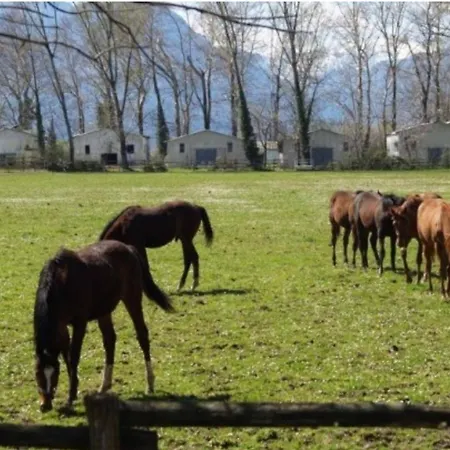 Βίλα Little Village Trikala